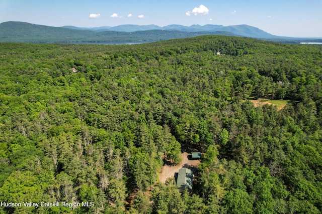 bird's eye view featuring a mountain view