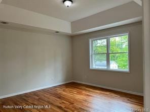 unfurnished room featuring a raised ceiling and light hardwood / wood-style flooring