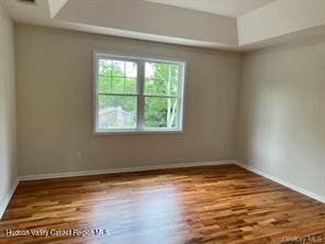 spare room featuring wood-type flooring and a tray ceiling