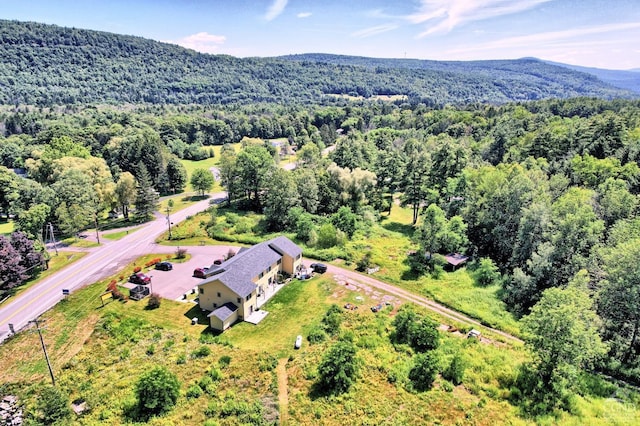 15023 Rte 23 Unit 5, Prattsville, NY 12468 - view from above of property with a forest