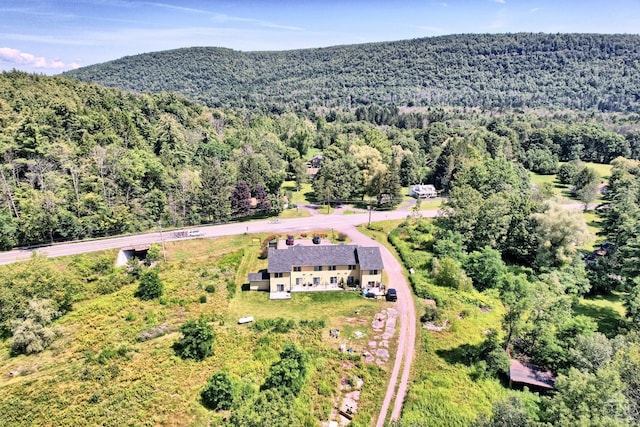 15023 Rte 23 Unit 5, Prattsville, NY 12468 - drone / aerial view of a forest and a mountainous background