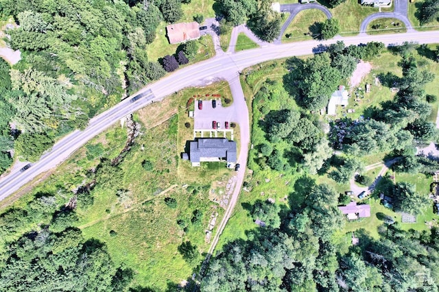 15023 Rte 23 Unit 5, Prattsville, NY 12468 - aerial overview of property's location