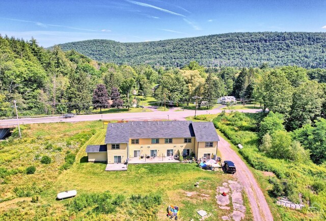15023 Rte 23 Unit 5, Prattsville, NY 12468 - view from above of property with a heavily wooded area