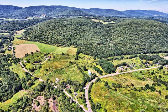 15023 Rte 23 Unit 5, Prattsville, NY 12468 - bird's eye view of mountains