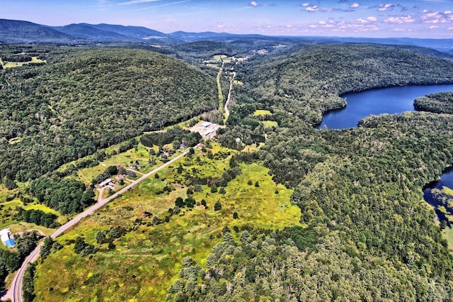 15023 Rte 23 Unit 5, Prattsville, NY 12468 - aerial view of property and surrounding area with a water and mountain view and a heavily wooded area
