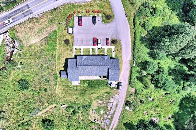 15023 Rte 23 Unit 5, Prattsville, NY 12468 - aerial view of property's location