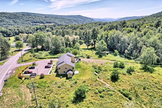 15023 Rte 23 Unit 5, Prattsville, NY 12468 - aerial view of property and surrounding area featuring a heavily wooded area and mountains