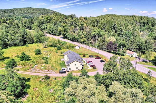 15023 Rte 23 Unit 5, Prattsville, NY 12468 - aerial view of property and surrounding area with a heavily wooded area