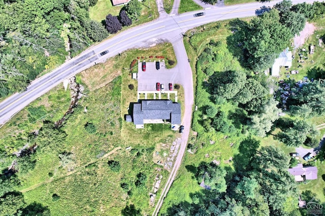 15023 Rte 23 Unit 5, Prattsville, NY 12468 - aerial view of property's location