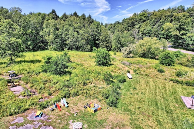 15023 Rte 23 Unit 5, Prattsville, NY 12468 - aerial view of a heavily wooded area