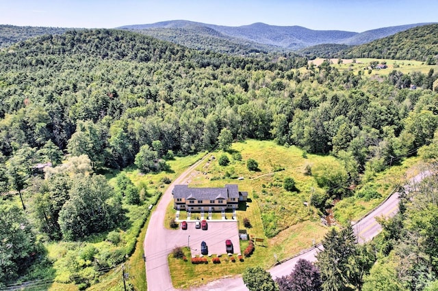 15023 Rte 23 Unit 5, Prattsville, NY 12468 - aerial view of a heavily wooded area and mountains