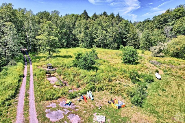 15023 Rte 23 Unit 5, Prattsville, NY 12468 - bird's eye view of a heavily wooded area