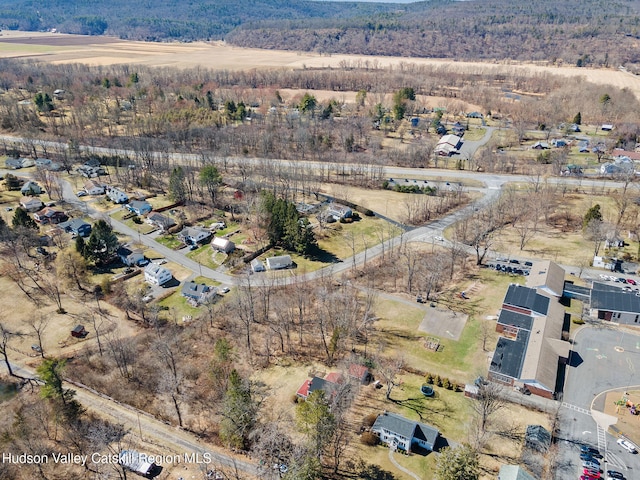 drone / aerial view