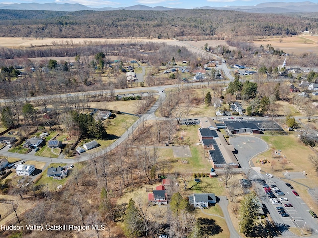 drone / aerial view with a mountain view
