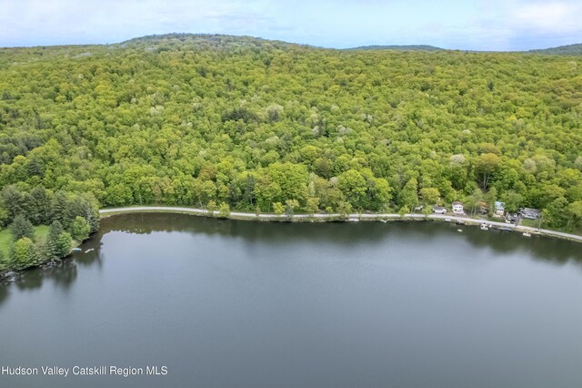 2712 Silver Lake Rd, Hancock, NY 13783 - photo 24