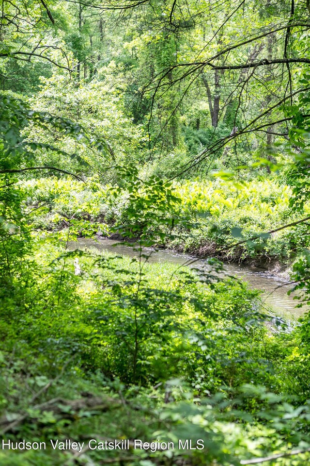 87 Boice Mill Rd, Kerhonkson, NY 12446 - view of wooded area