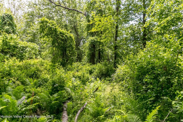 87 Boice Mill Rd, Kerhonkson, NY 12446 - view of wooded area