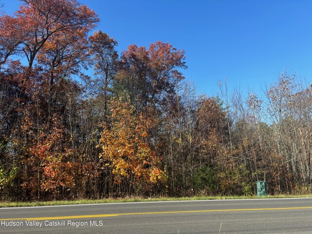 153 Rte 208, New Paltz, NY 12561 - photo 6