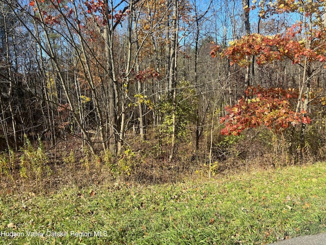 153 Rte 208, New Paltz, NY 12561 - photo 2