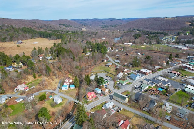 birds eye view of property featuring a mountain view