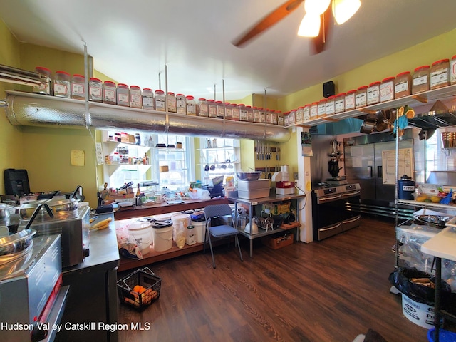 interior space featuring ceiling fan, a wealth of natural light, and wood finished floors