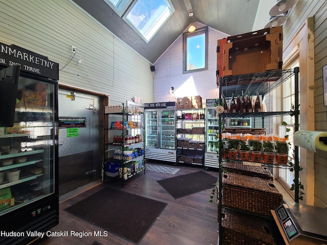 storage featuring a skylight