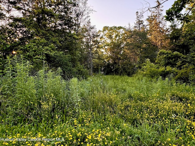LOT7 Stickles Rd, Hudson, NY 12534
