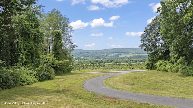 210 N Mountain Rd, Copake Falls, NY 12517 - photo 29