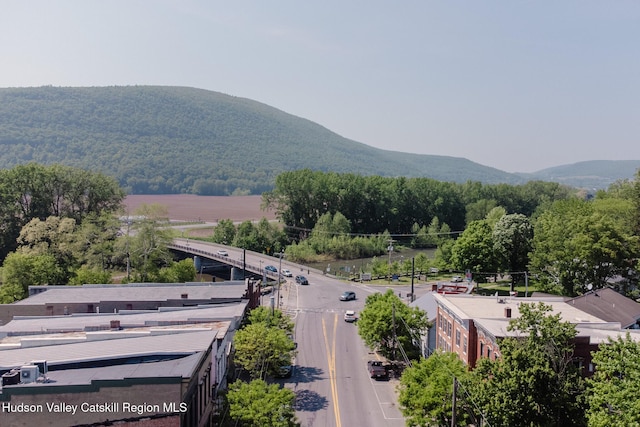 320 Main St, Middleburgh, NY 12122 - photo 28