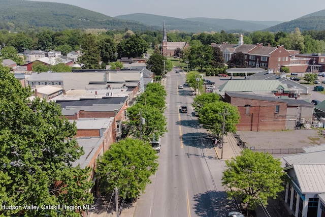 320 Main St, Middleburgh, NY 12122 - photo 29
