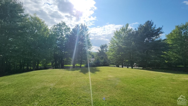 view of green lawn with view of scattered trees
