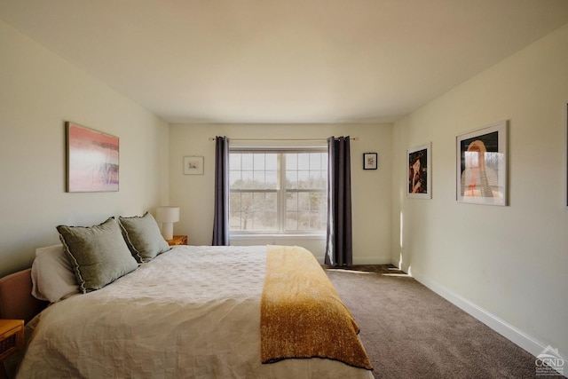 27 Gallagher Ln, Pleasant Valley, NY 12569 - carpeted bedroom with baseboards
