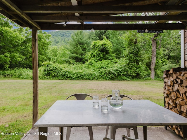 15 Maben Rd, Big Indian, NY 12410 - photo 59
