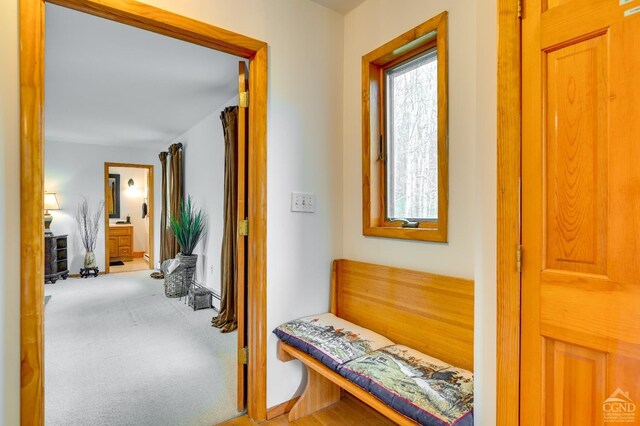 108 Botti Dr, Hunter, NY 12442 - hall with carpet flooring and baseboards