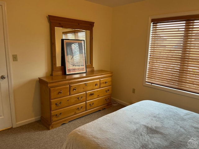 64 Liftside Dr Unit E-5, Hunter, NY 12442 - carpeted bedroom with baseboards