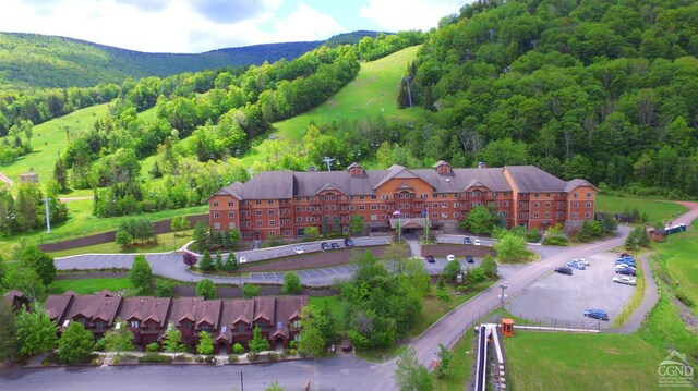 64 Liftside Dr Unit E-5, Hunter, NY 12442 - aerial view of a forest and apartment complex