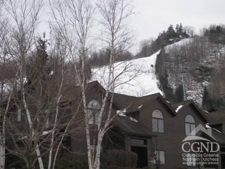 64 Liftside Dr Unit E-5, Hunter, NY 12442 - exterior space