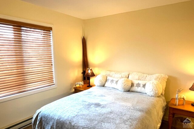 64 Liftside Dr Unit E-5, Hunter, NY 12442 - bedroom with a baseboard radiator