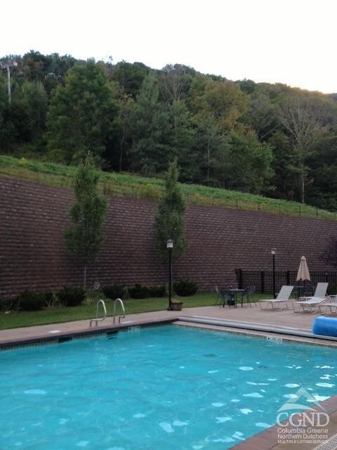 64 Liftside Dr Unit E-5, Hunter, NY 12442 - community pool featuring fence and a forest view