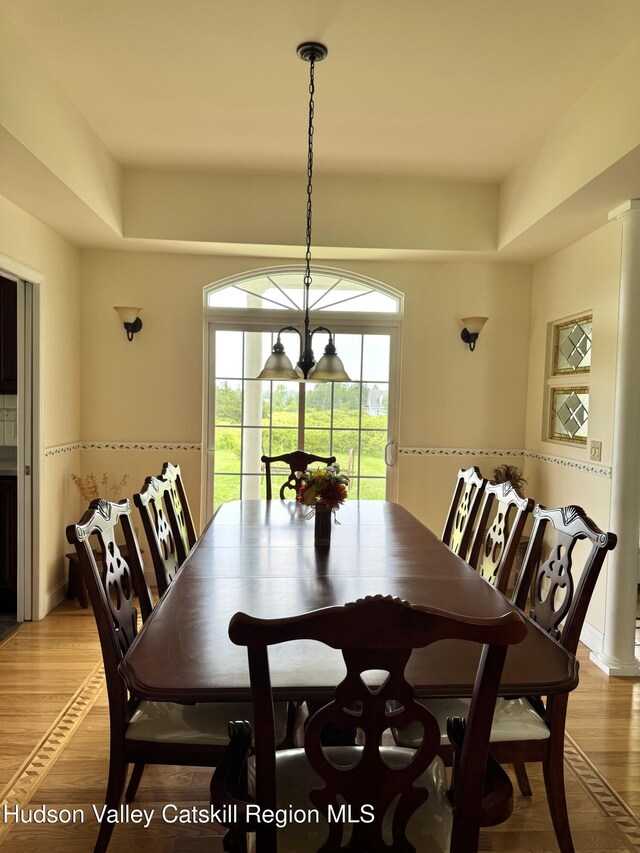 2914 Sleepy Hollow Rd, Athens, NY 12015 - dining space featuring light wood-type flooring and a tray ceiling