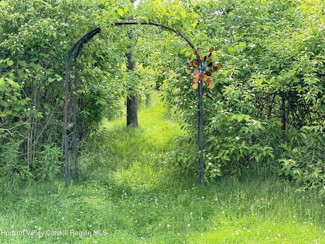 2914 Sleepy Hollow Rd, Athens, NY 12015 - view of undeveloped land