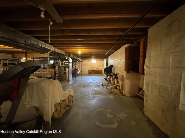 2914 Sleepy Hollow Rd, Athens, NY 12015 - view of unfinished below grade area