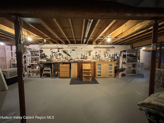 2914 Sleepy Hollow Rd, Athens, NY 12015 - unfinished basement with a workshop area