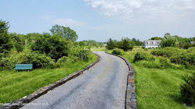 2914 Sleepy Hollow Rd, Athens, NY 12015 - view of asphalt road