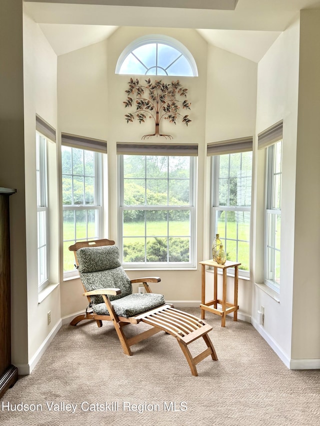 2914 Sleepy Hollow Rd, Athens, NY 12015 - sunroom / solarium with carpet floors and high vaulted ceiling