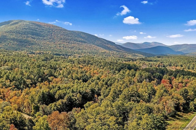 view of mountain feature