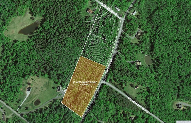 47-67 Shad Rd, East Jewett, NY 12444 - photo 2