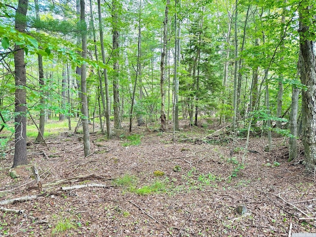 47-67 Shad Rd, East Jewett, NY 12444 - photo 11