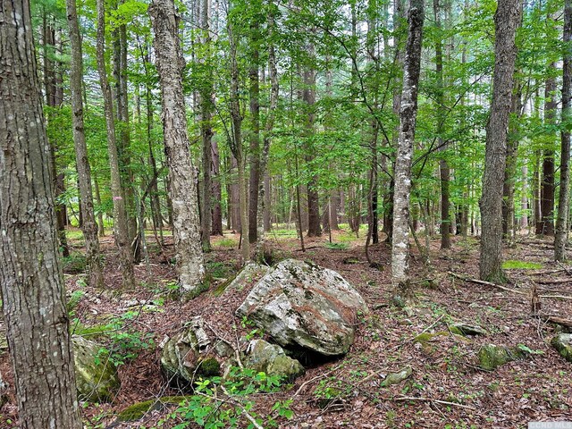 47-67 Shad Rd, East Jewett, NY 12444 - photo 13