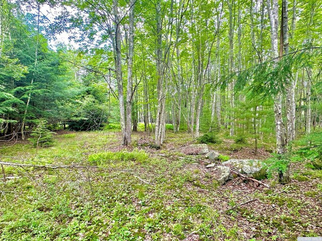 47-67 Shad Rd, East Jewett, NY 12444 - photo 17